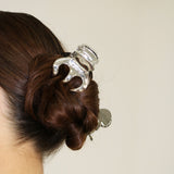 Metal Silver Marron Clip