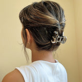 Metal Silver Marron Clip