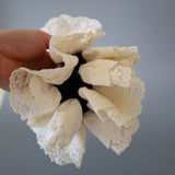 Black and White Frills Scrunchie