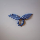 Blue Sheer Dot Ribbon Pony