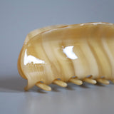 Caramel Marble Gloss Lip Clip