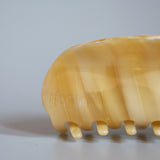 Caramel Marble Gloss Lip Clip