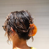 Almond Brown Gloss Lip Clip