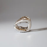 Silver Mouth Hair Clip