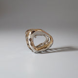 Silver Mouth Hair Clip