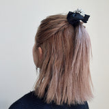 Black Silver Ribbon Pony