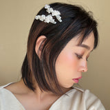 Clear Silver Flower Clip (2pcs)