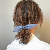 Blue Sheer Dot Ribbon Pony