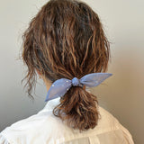 Blue Sheer Dot Ribbon Pony
